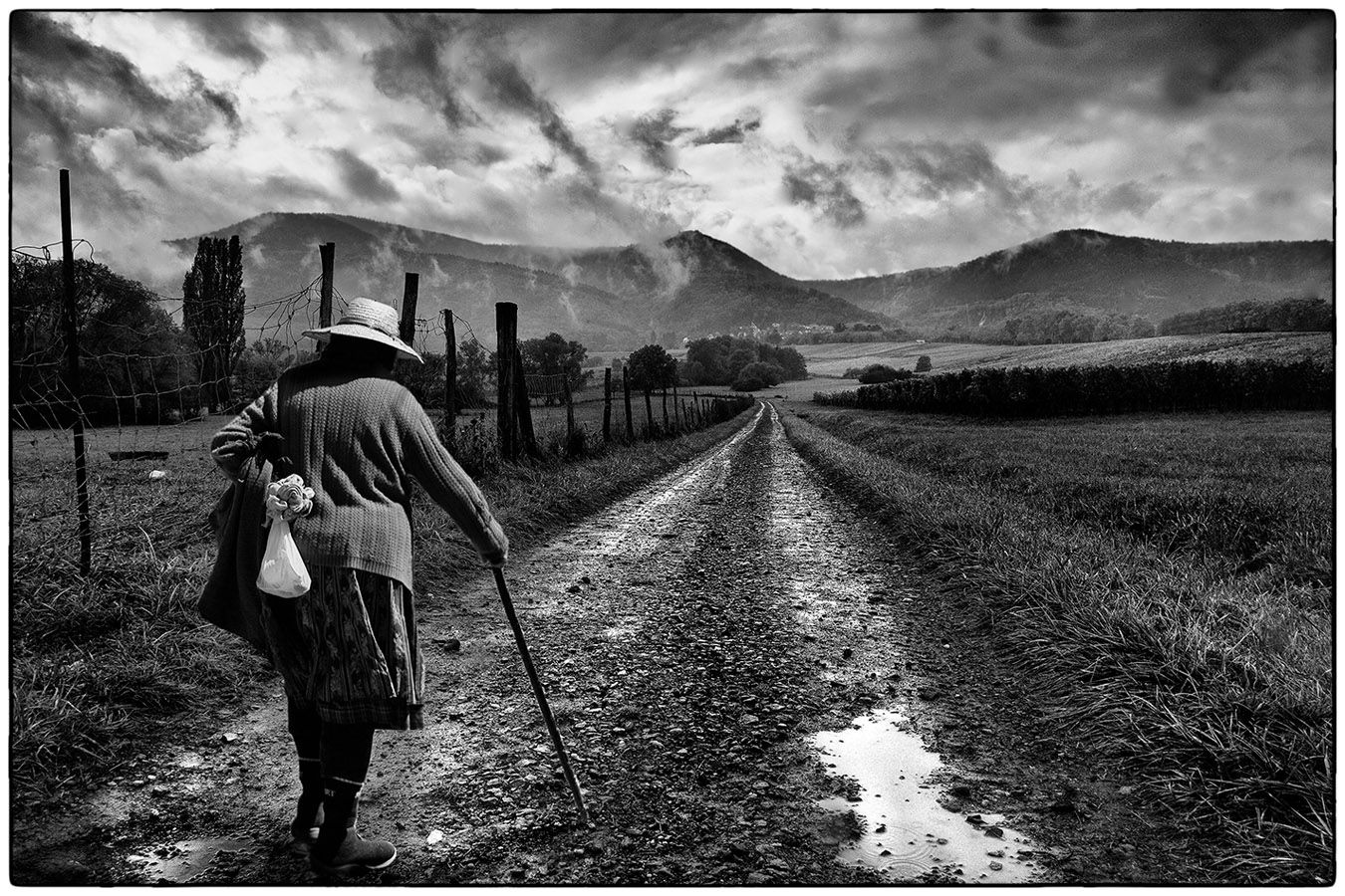 Sur le chemin -  Photo Alain Besnard